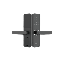 ML100 Standalone Fingerprint Wifi Lock